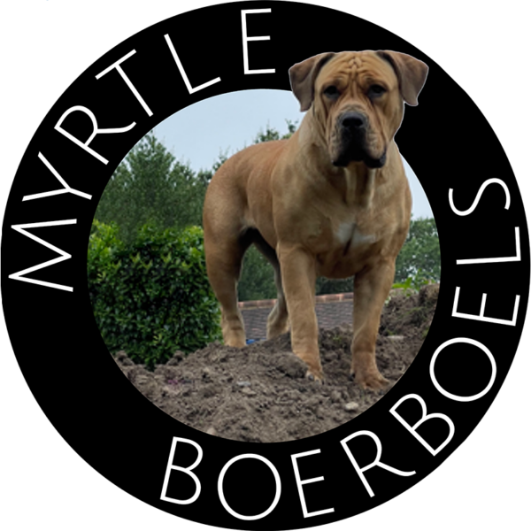Myrtle Boerboels